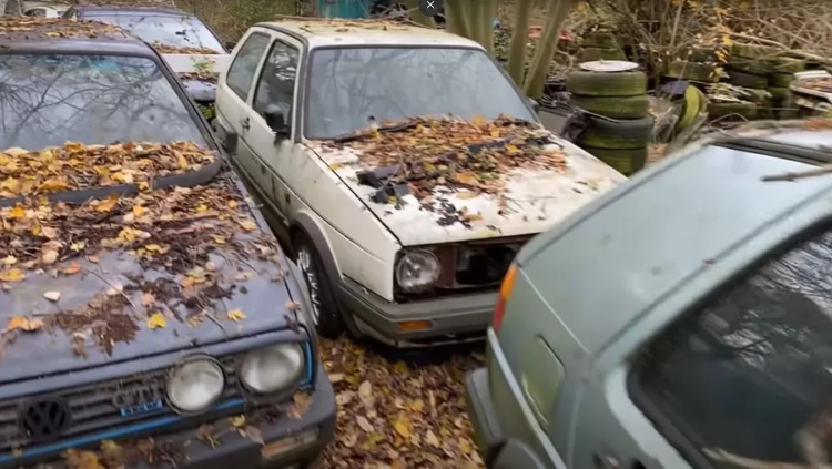 Невероятная находка: несколько десятков редких Volkswagen и Audi обнаружили в лесу 1