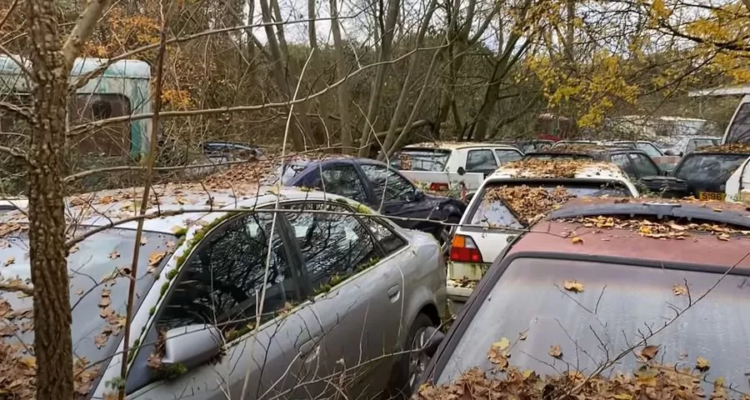 Невероятная находка: несколько десятков редких Volkswagen и Audi обнаружили в лесу 2
